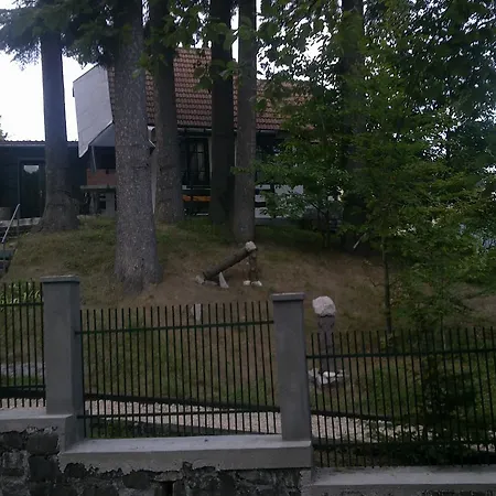 Casa Gabriela * Sinaia