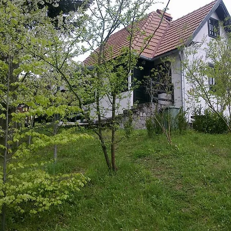 Casa Gabriela Sinaia