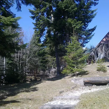 Casa Gabriela *