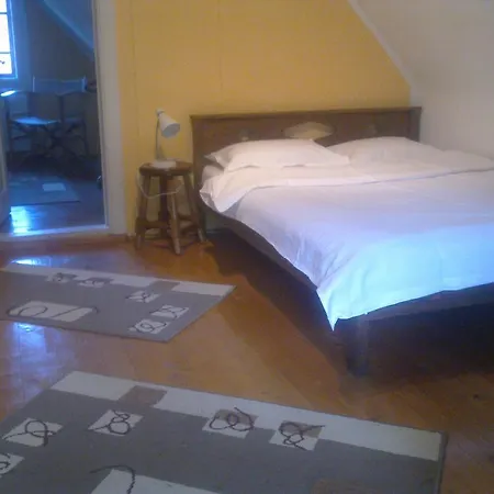 Casa Gabriela * Sinaia
