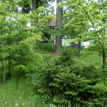 Casa Gabriela * Sinaia